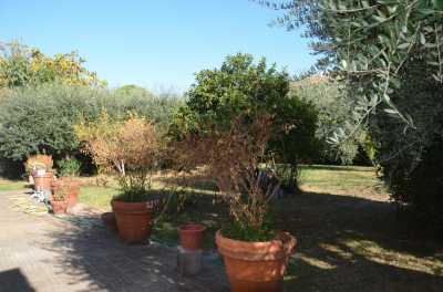 Villa Singola in Vendita a San Giuliano Terme 56017 San Giuliano Terme pi 56017 Pontasserchio
