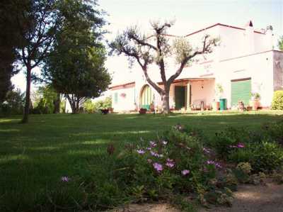 Villa Singola in Vendita a Foggia Arpinova
