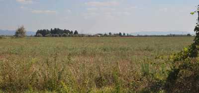 Terreno Agricolo in Vendita a Rosignano Marittimo Vada