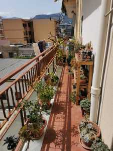 Appartamento in Vendita a Palermo Pallavicino
