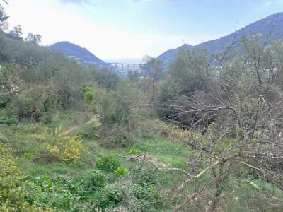 Terreno Edificabile in Vendita a San Biagio della Cima