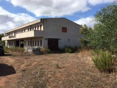 Azienda Agricola in Vendita ad Alghero via Cala Viola Santa Maria la Palma