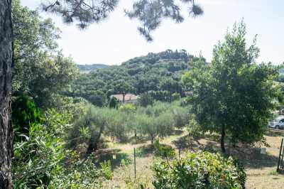 Terreno in Vendita a Corciano via Antinori San Mariano