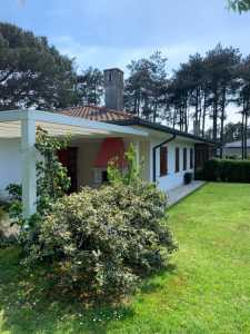 Villa Bifamiliare in Affitto a Rosolina Isola Albarella Chioggia Albarella