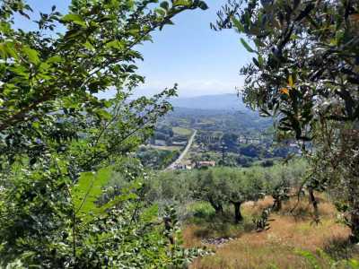 Terreno in Vendita a Monte San Giovanni Campano