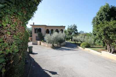 Villa Singola in Vendita a Capannori via Delle Selvette 320 Segromigno in Monte