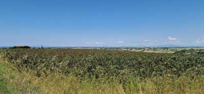 Terreno Agricolo in Vendita a Tarquinia