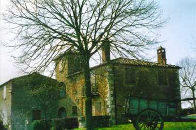 Rustico Casale Corte in Vendita a Torrita di Siena Montefollonico
