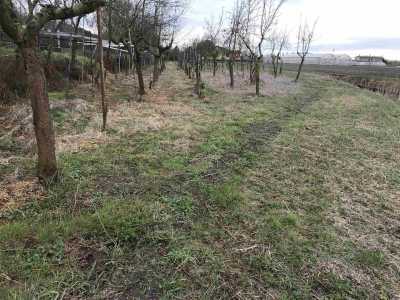 Terreno Agricolo in Vendita a Chioggia Santanna