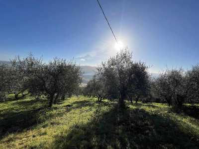 Terreno Agricolo in Vendita a Volterra Mazzolla