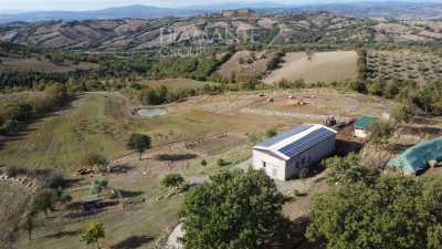 Azienda Agricola in Vendita a Roccalbegna