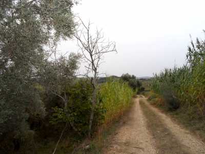 Terreno in Vendita a Monteprandone via Colle Appeso