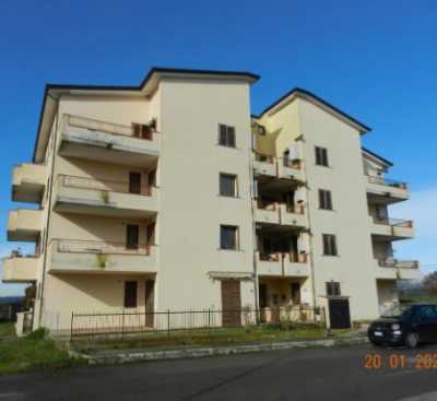 Appartamento in Vendita a Cinigiano Localeta Borgo Santa Rita Snc