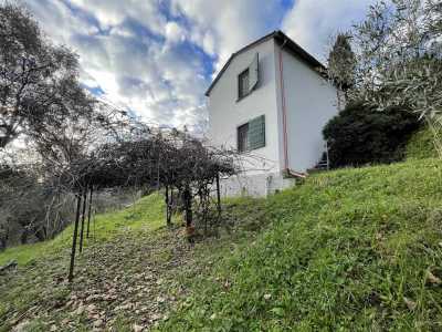 Villa o Villino in Vendita a Sarzana Fortezza