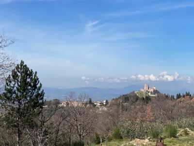 Terreno in Vendita ad Assisi via Fontemaggio 1 Assisi