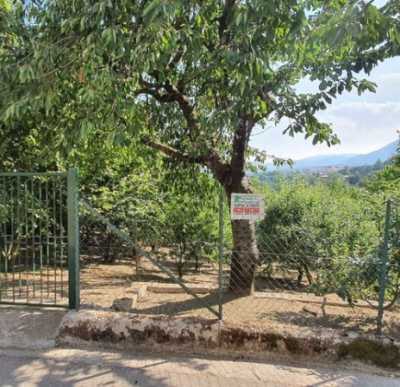 Terreno in Vendita a Grottolella via Dei Caduti