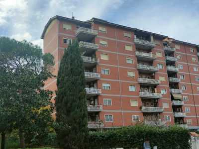 Appartamento in Vendita a Roma via Ercole Pellini