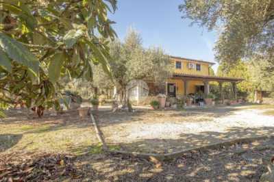 Villa in Vendita a Palombara Sabina Strada di Colle Mastarello 53