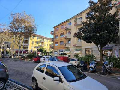 Appartamento in Vendita a Ciampino via Trento