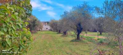 Villa in Vendita a Manziana via Poggio della Tarantola