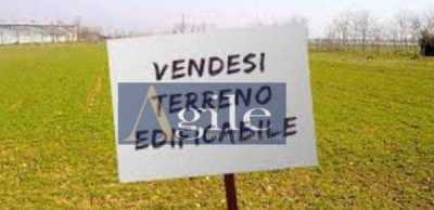Terreno in Vendita ad Acquaviva Picena Contrada San Vincenzo