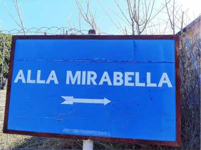 Appartamento in Vendita a Castelletto Sopra Ticino via Mirabella 24
