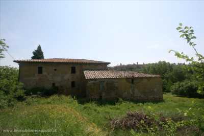 Rustico Casale in Vendita a Torrita di Siena