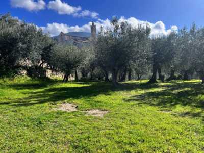 Terreno in Vendita ad Assisi via Moiano