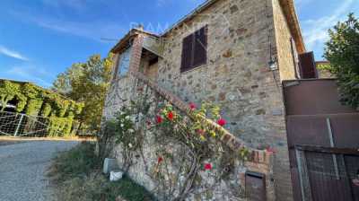 Rustico Casale in Vendita a Castellina in Chianti Castellina in Chianti