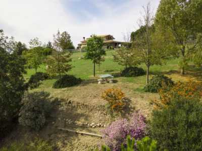 Villa in Vendita a Cerveteri via Dei Casaletti