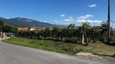Terreno in Vendita a Monte San Giovanni Campano via Pantano 1