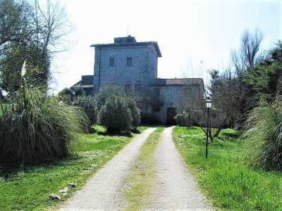 Azienda Agricola in Vendita a Montecchio