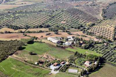Azienda Agricola in Vendita ad Orbetello