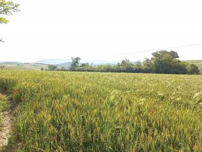 Terreno Agricolo in Vendita a Rosignano Marittimo Vada