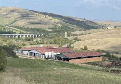 Azienda Agricola in Vendita a Radicofani