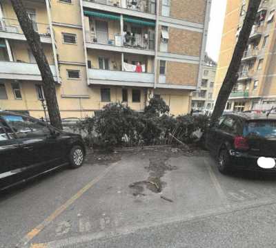 Box Posto Auto in Vendita a Genova via Luigi Gherzi Snc Molassana