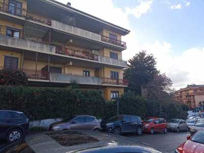Appartamento in Vendita a Marino via Marcantonio Colonna 26