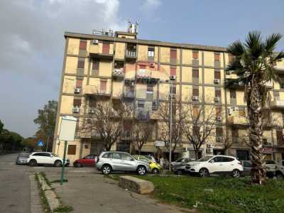 Appartamento in Affitto a Palermo via Tindari 34