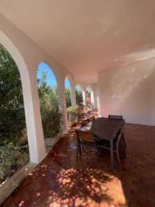 Villa in Affitto a Manduria via Borraco 64