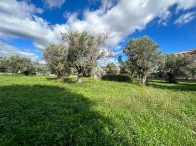 Terreno in Vendita a Lamezia Terme via Dei Morgeti
