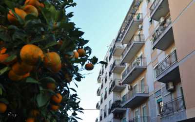 Appartamento in Vendita a Messina via Oddo Delle Colonne