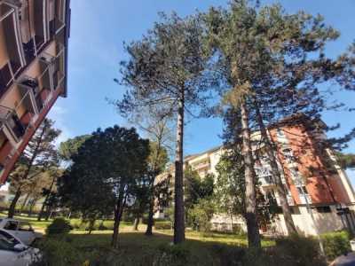 Appartamento in Vendita ad Arezzo
