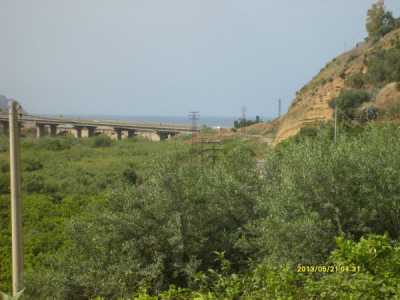 Terreno in Vendita ad Altavilla Milicia via Serra Molinazzo