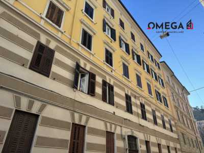 Appartamento in Affitto a Trieste via Pilone 2