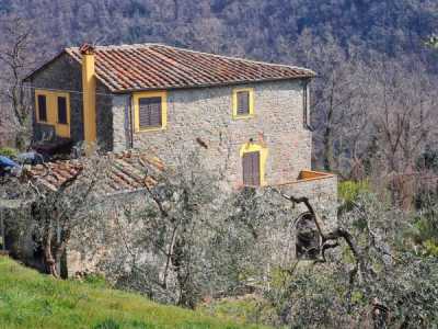 Rustico Casale in Vendita a Villa Basilica via Provinciale 35