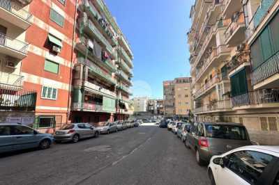 Appartamento in Affitto a Napoli via Carlo Ziviello 4
