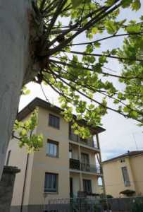 Appartamento in Vendita a Sorbolo Mezzani via Italo Focherini 15