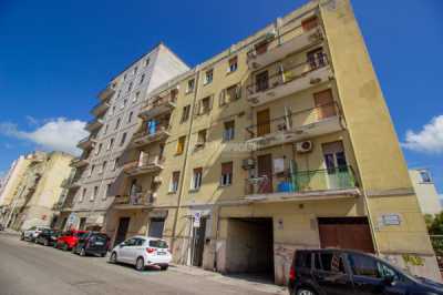 Appartamento in Vendita a Sassari via Alceo Cattalochino