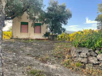 Indipendente in Vendita a Castiglione di Sicilia Pontale Palino