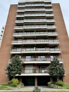 Appartamento in Affitto a Torino via Cimabue 1